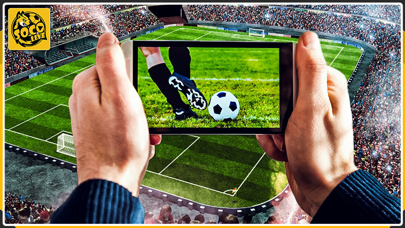 Trách nhiệm của Socolive
